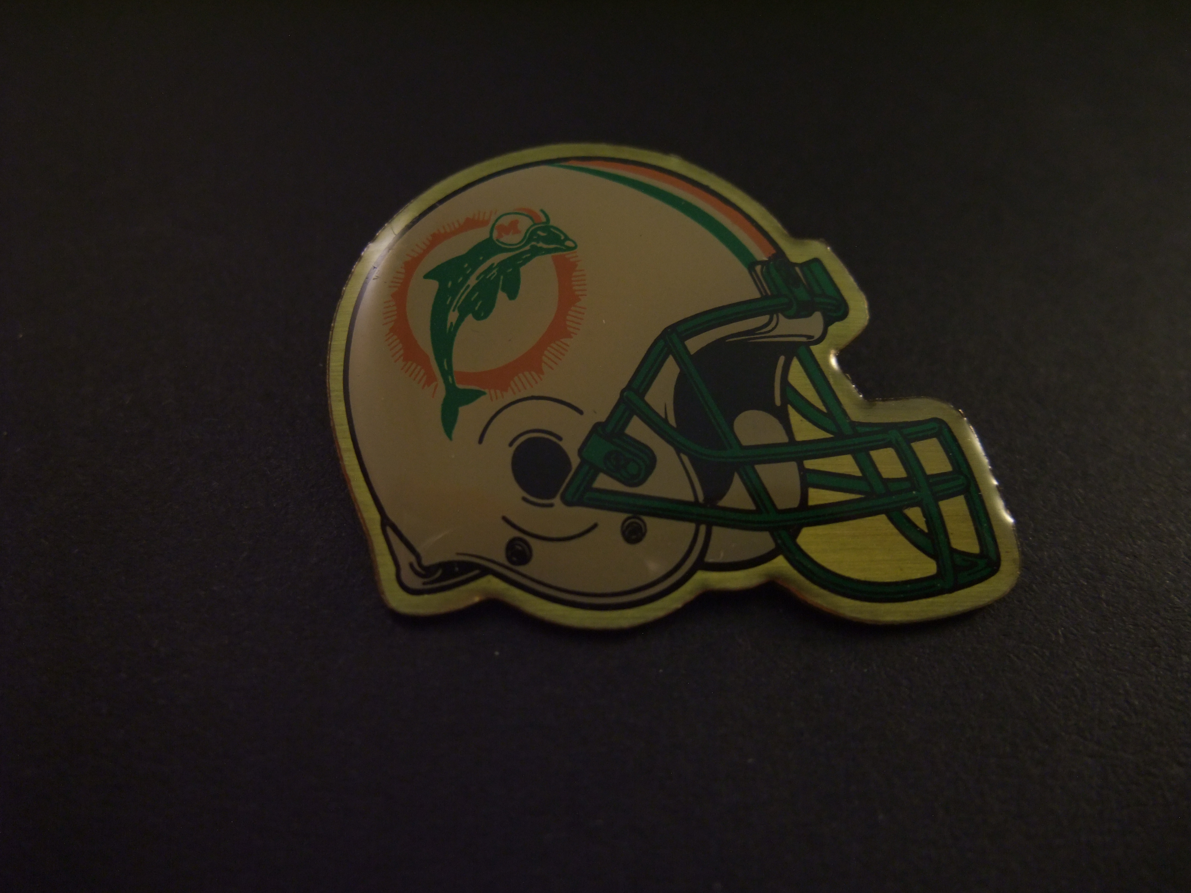 The Miami Dolphins ( Dolphins)American football-team ( NFL)helm